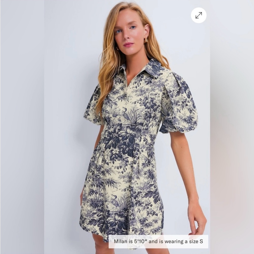Floral Print Puff Sleeve Dress